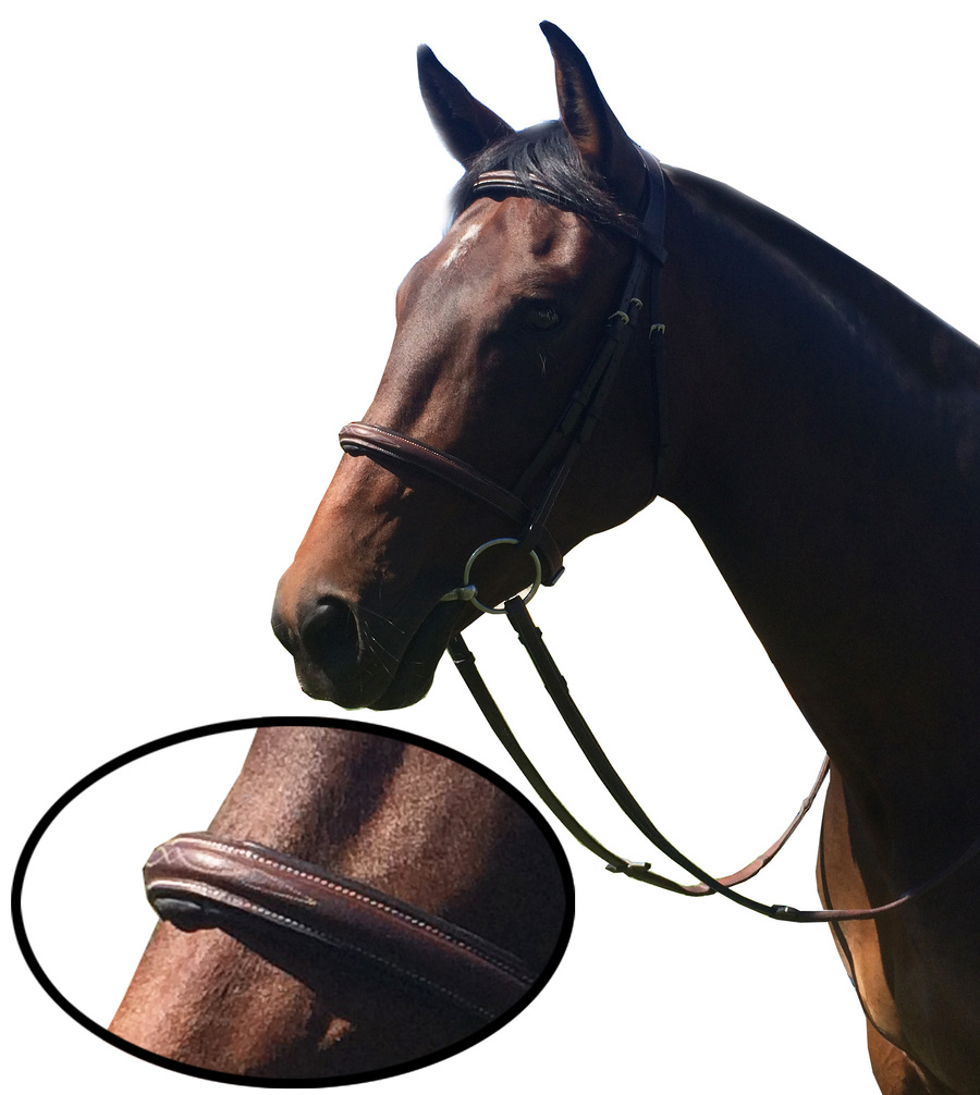 Hinterland -The Fancy That ! Bridle image 0