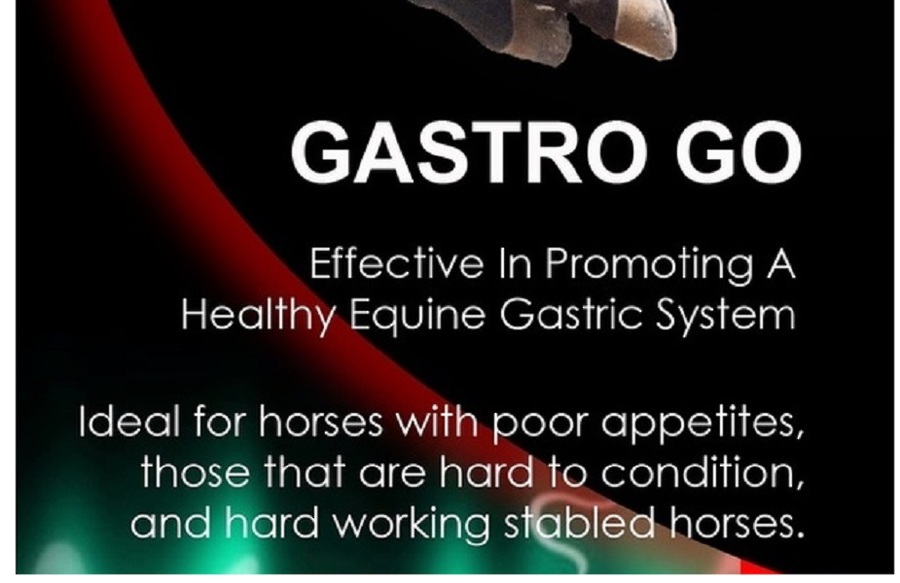 Elite Equine Gastro Go image 0