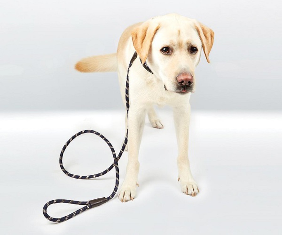 Weatherbeeta Rope Leather Dog Lead image 1