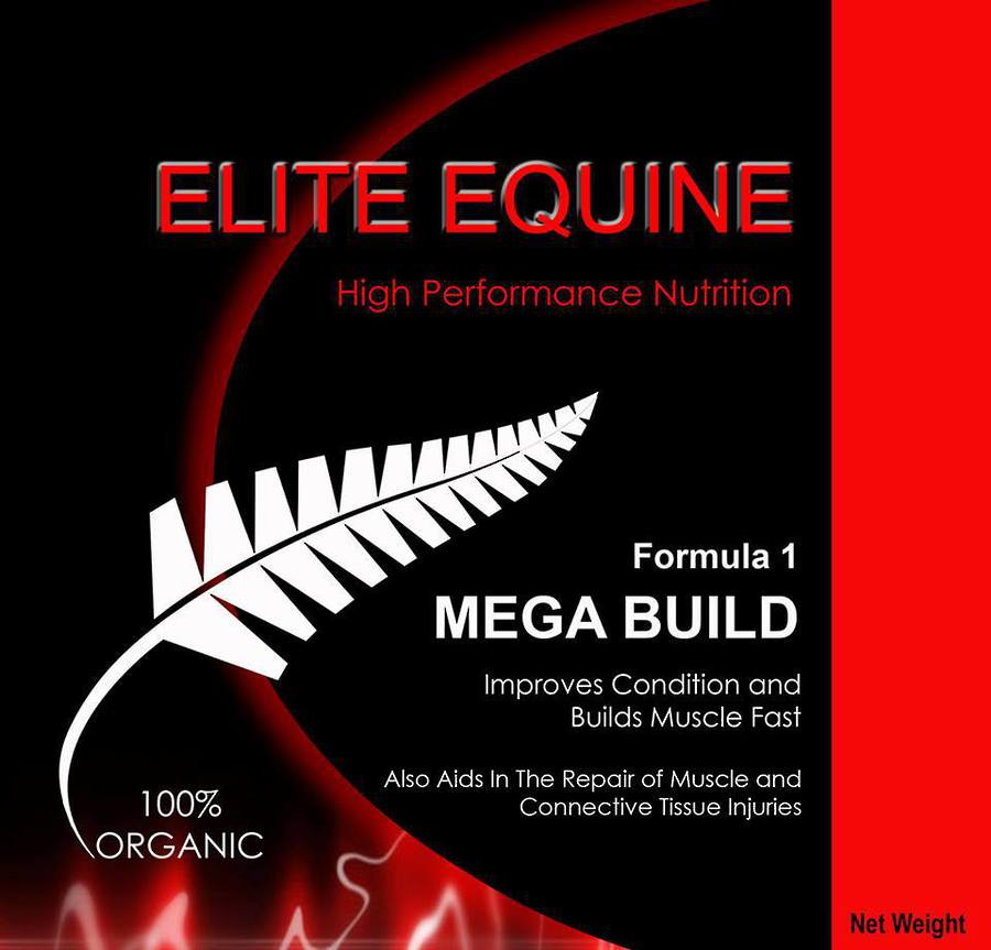 Elite Equine Mega Build image 0