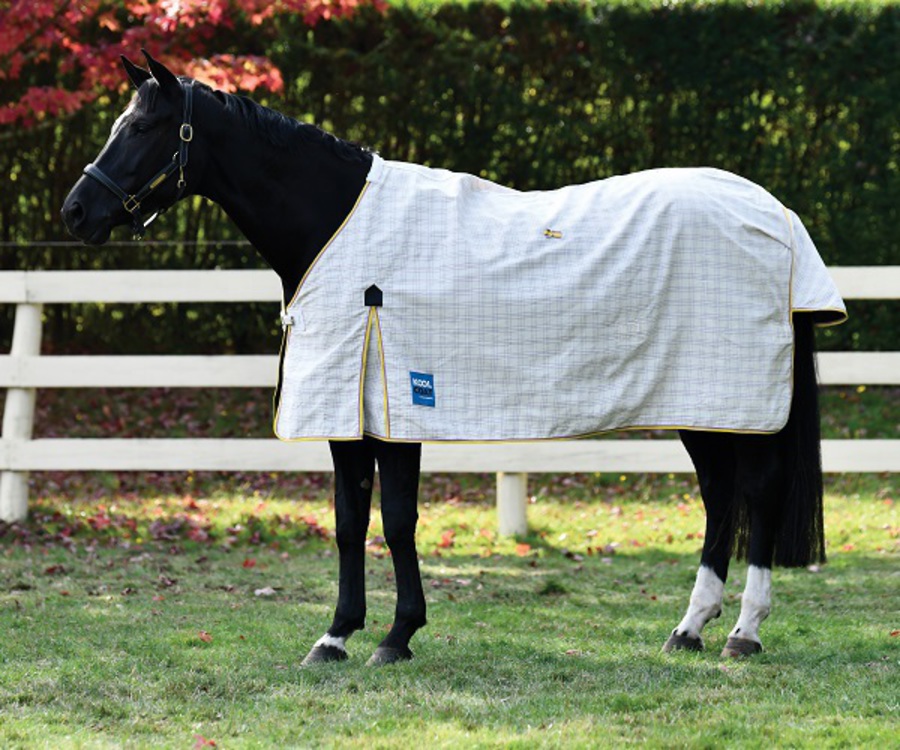 kool coat horse rugs