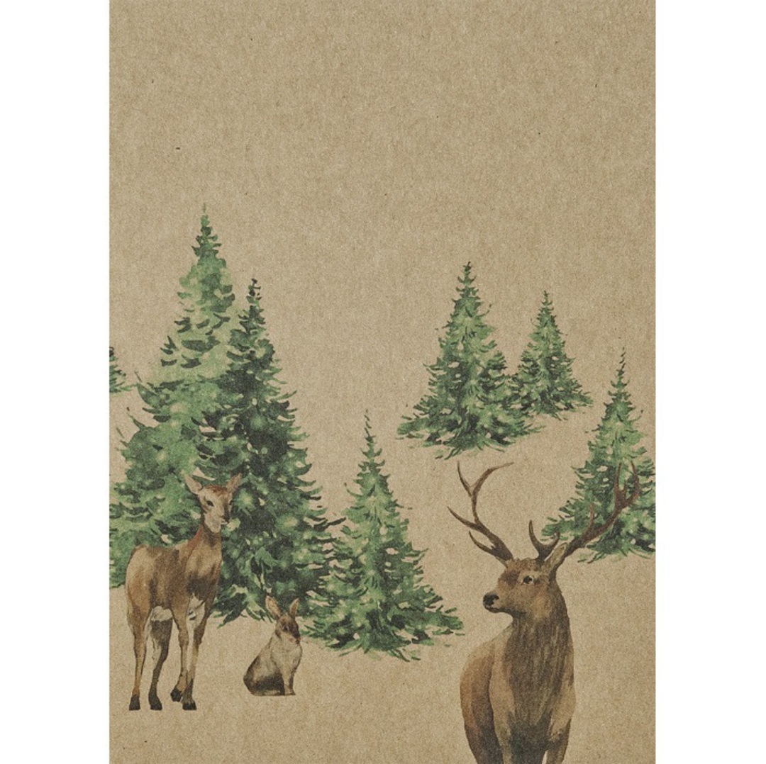 Eco Greeting Card, Forest Glade image 0