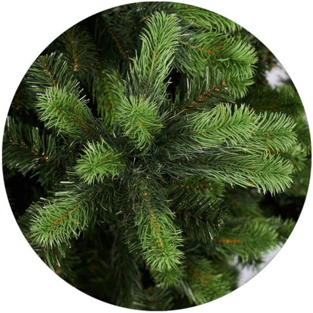 Indent Only - Giant Pine Christmas Tree image 1