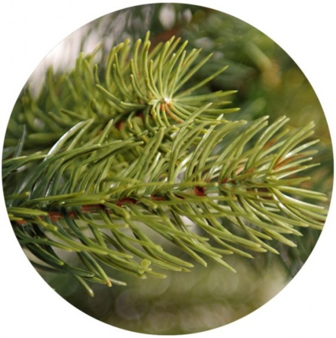 Tundra Christmas Tree 1.8mtr image 1