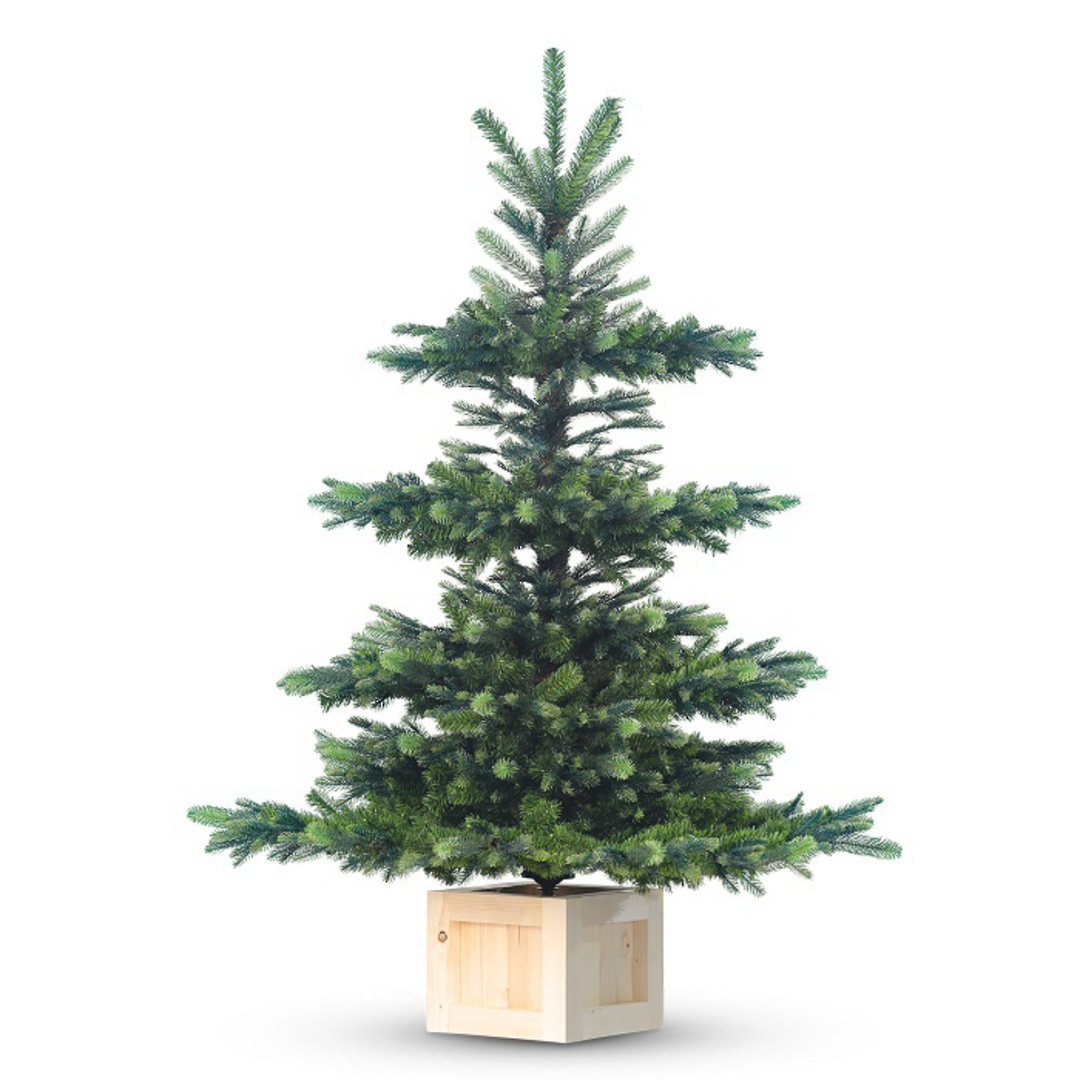 Gaia Tree with Wood Pot 1.8mtr image 0