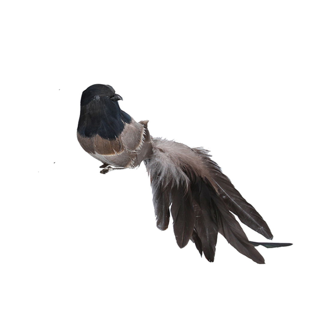 Bird Clip, Black Natural Feathers 24cm image 0