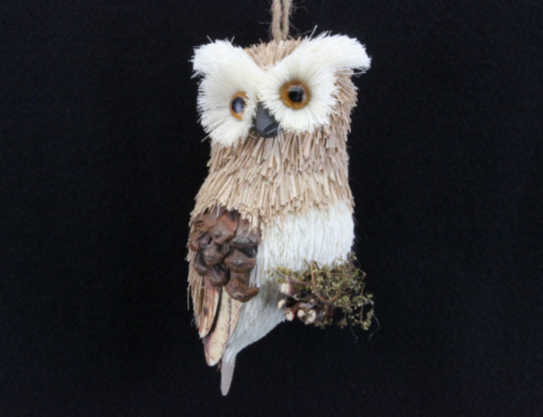 Wood & Bristle Hanging Owl 13cm image 0
