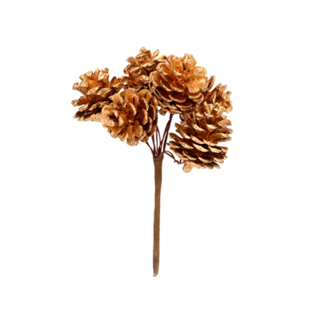 Gold Cone Pick Bunch 14cm image 0
