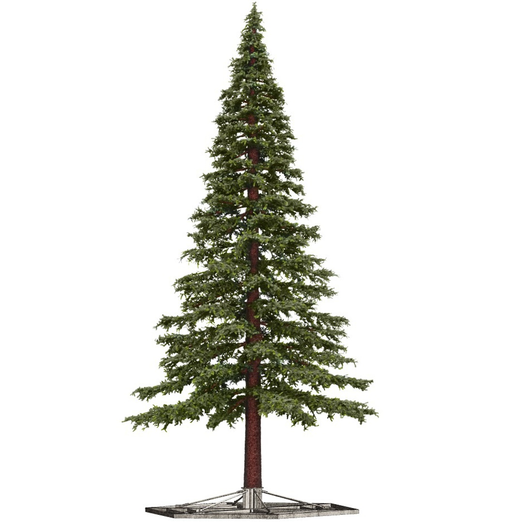 Indent Only - Giant Pine Christmas Tree image 4
