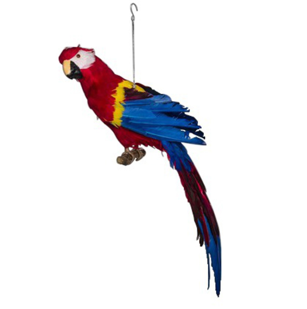 Red Macaw 65cm image 0