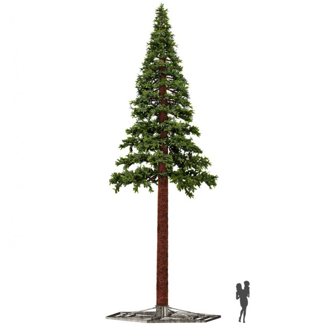 Indent Only - Giant Pine Christmas Tree image 0