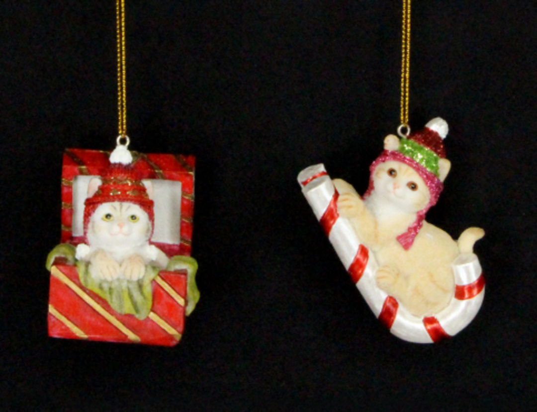 Hanging Resin Kittens on Box/Candy Cane image 0