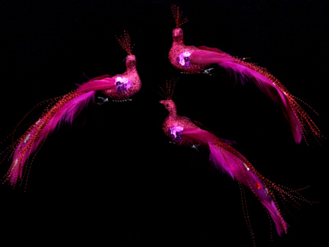Fuschia Glitter Feather Bird Clip 14cm image 0