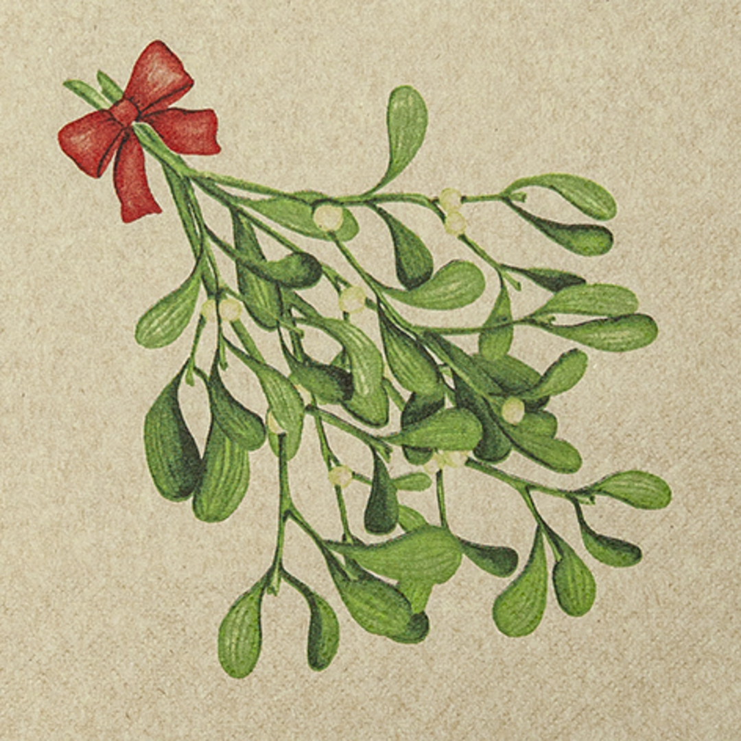 Eco Paper Napkins 33cm, Mistletoe Twigs image 0