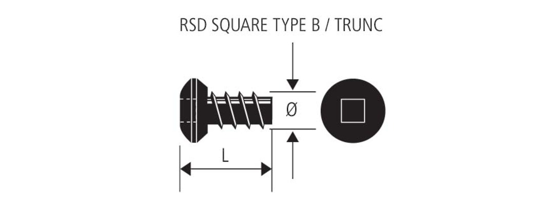 RSD TYPE B SELF TAP SCREW - 8g x 10mm image 0