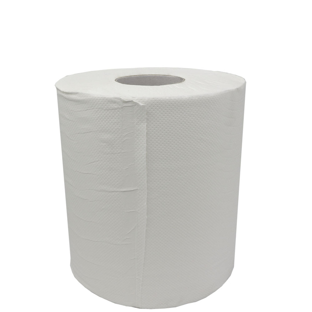 PAPER TOWELS - 2 PLY image 0