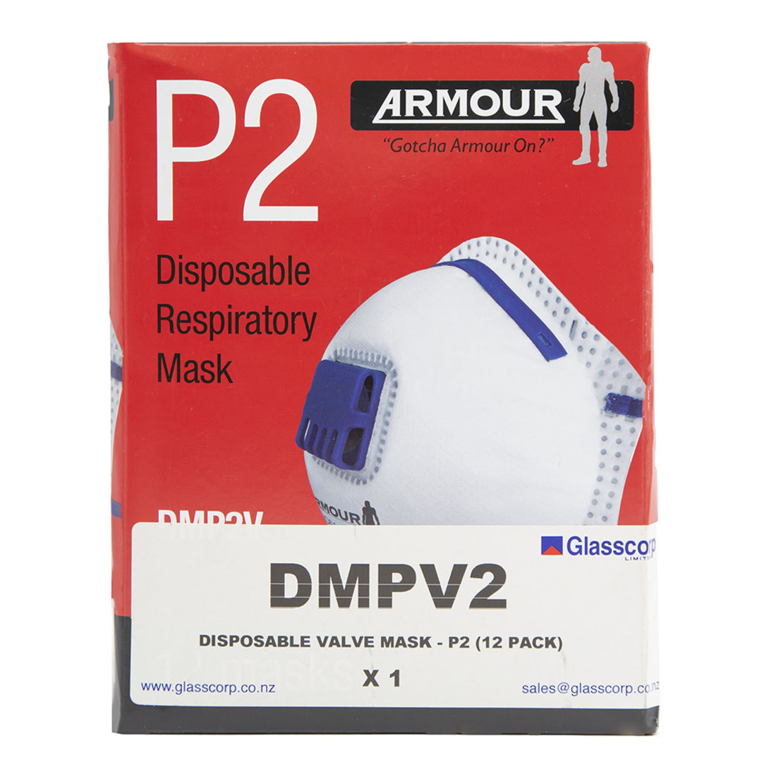 DISPOSABLE VALVE MASK - P2 (12 pack) image 3