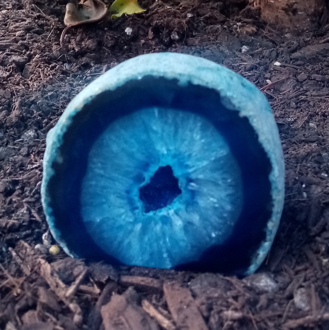 Geode Rock (blue) image 0