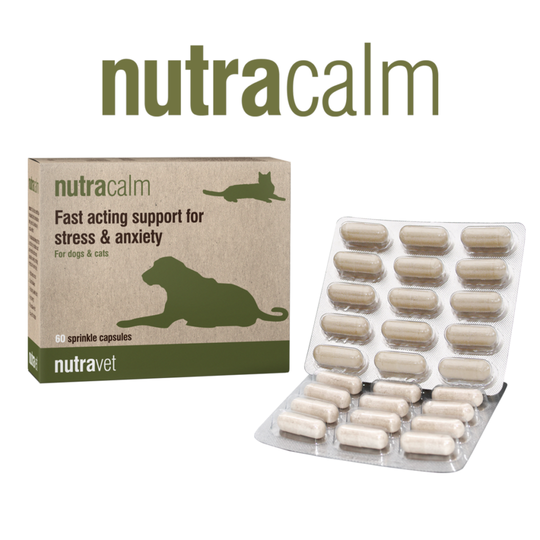Nutracalm – Fast acting support for stress & anxiety - Dogs and Cats - 60 Sprinkle Capsules image 1