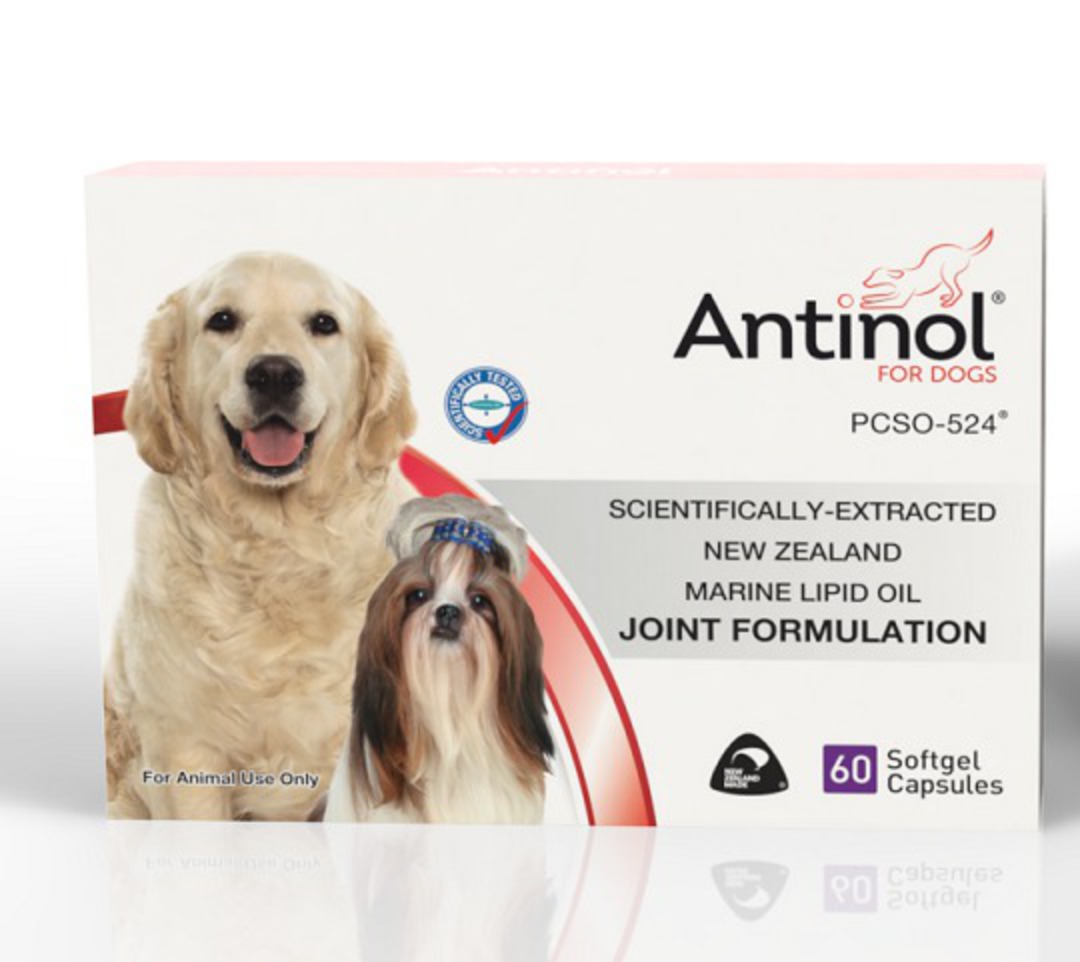 antinol for dogs