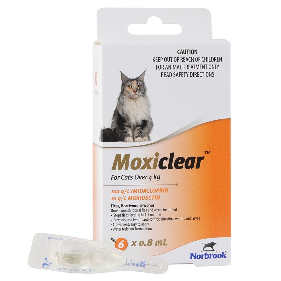 Moxiclear Orange For Cats Over 4kg– 6 Pack image 0