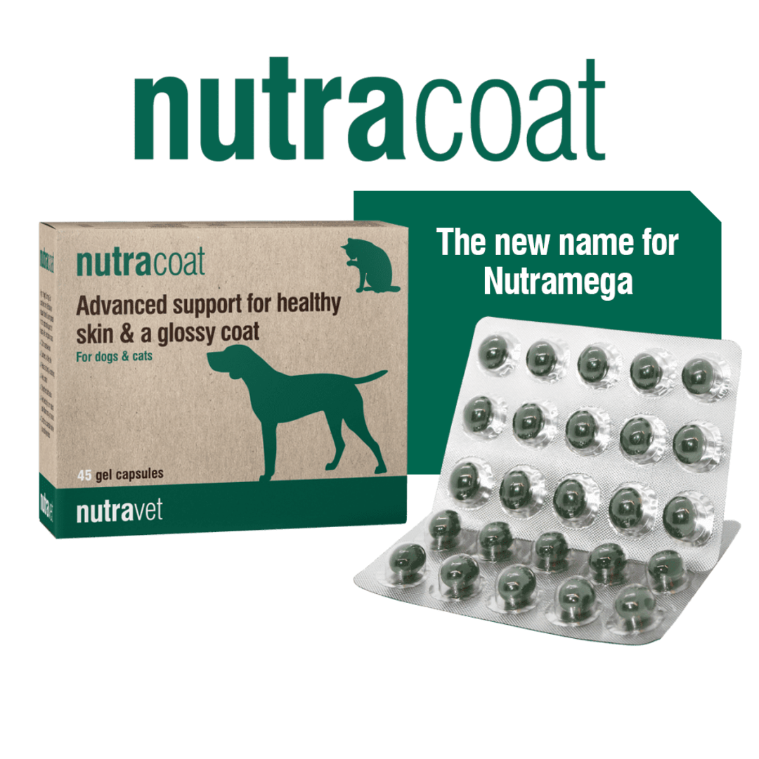 Nutracoat  for Cats & Dogs Healthy Skin & Coat- 45 capsules image 0