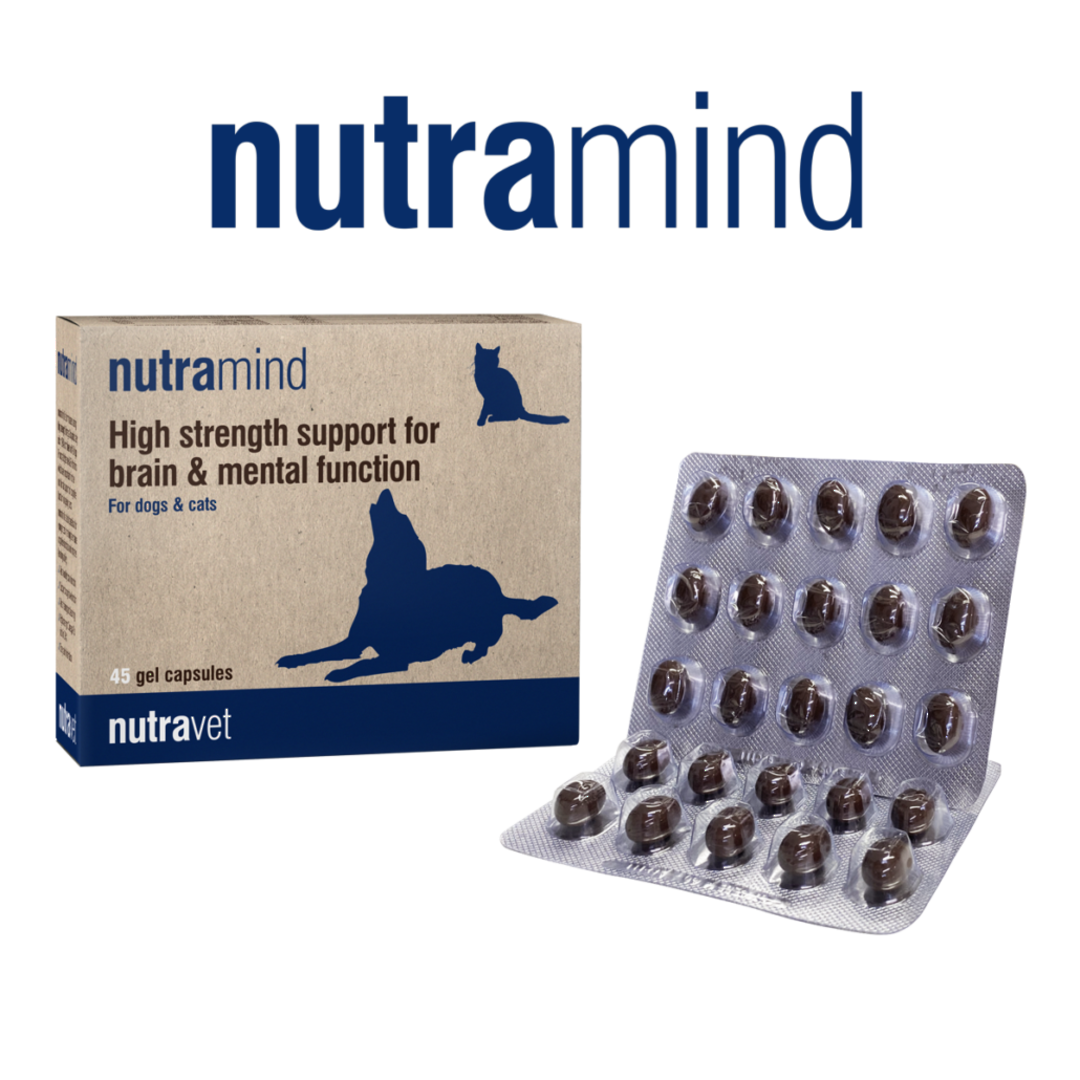 Nutramind – High strength support for brain & mental function - 45 Gel Capsules image 0