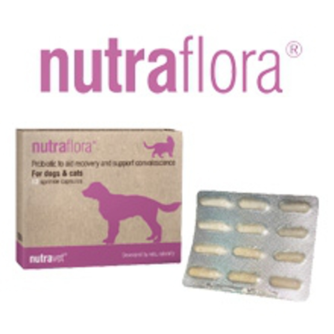 Nutraflora for Cats & Dogs Probiotic - 12 caps image 0