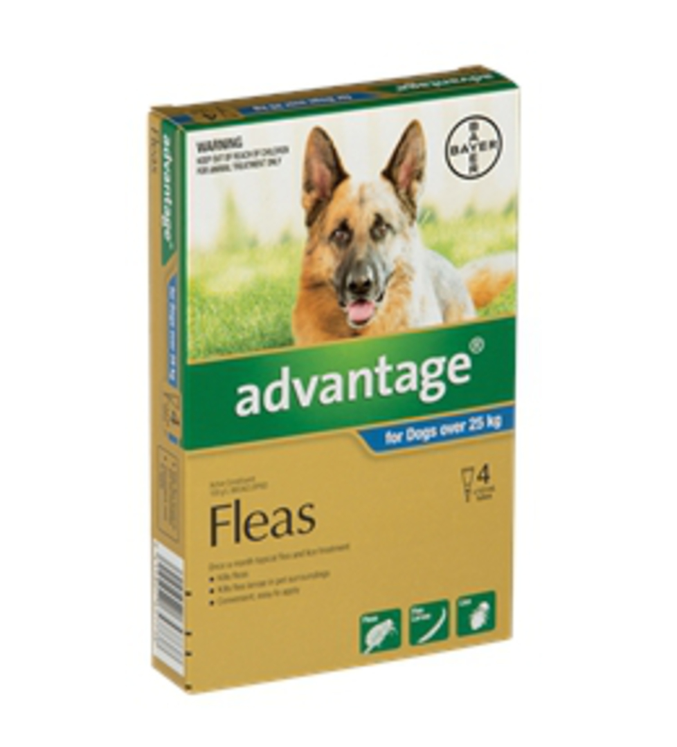 Advantage Spot-on Flea Treatment for Large Dogs +25kg (Blue / 4 pippets) image 0