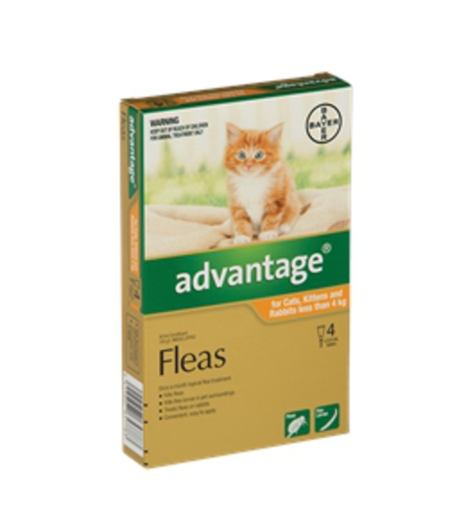 Advantage Spot-on Flea Treatment for Cats, Kittens and Rabbits Up to 4kg (Orange / 4 pippets) image 0