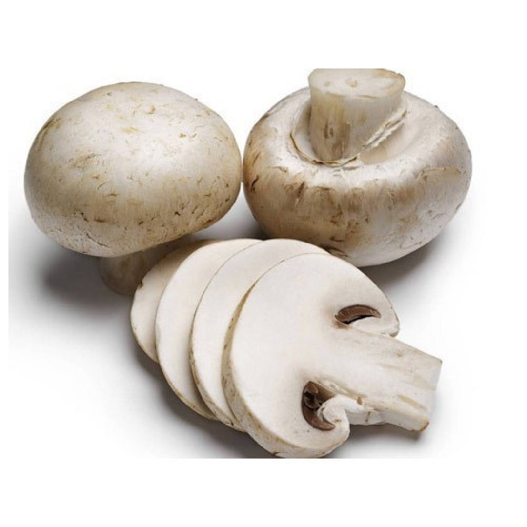 Mushrooms image 0