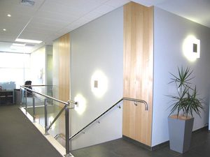 Feature Lighting  / Commercial Office Design