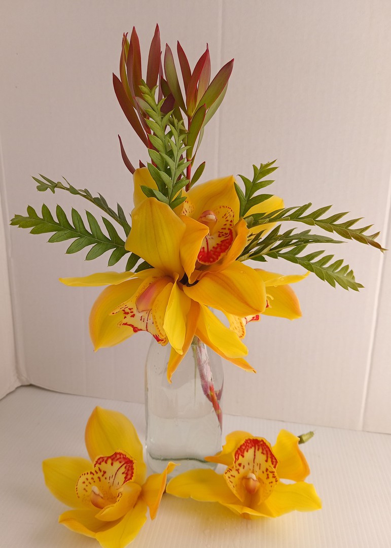 Florets of Orchids image 0