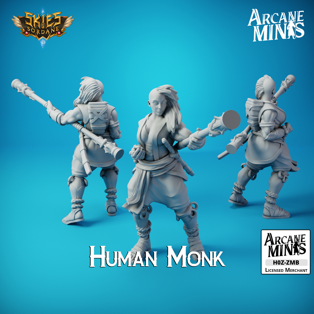 Human Monk - Arcane Minis Skies of Sordane image 0