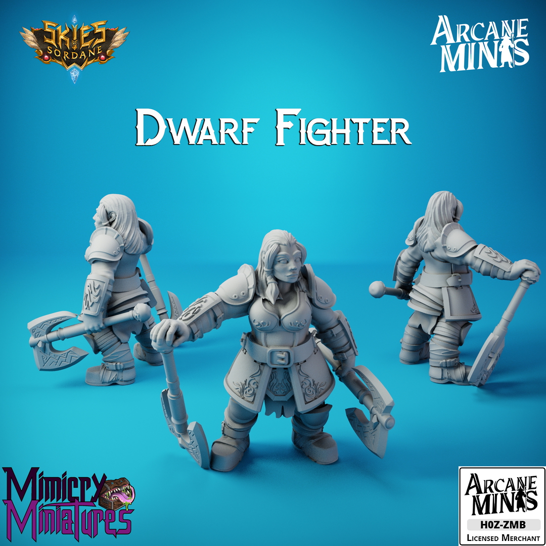 Dwarf Fighter - Arcane Minis Skies of Sordane image 0