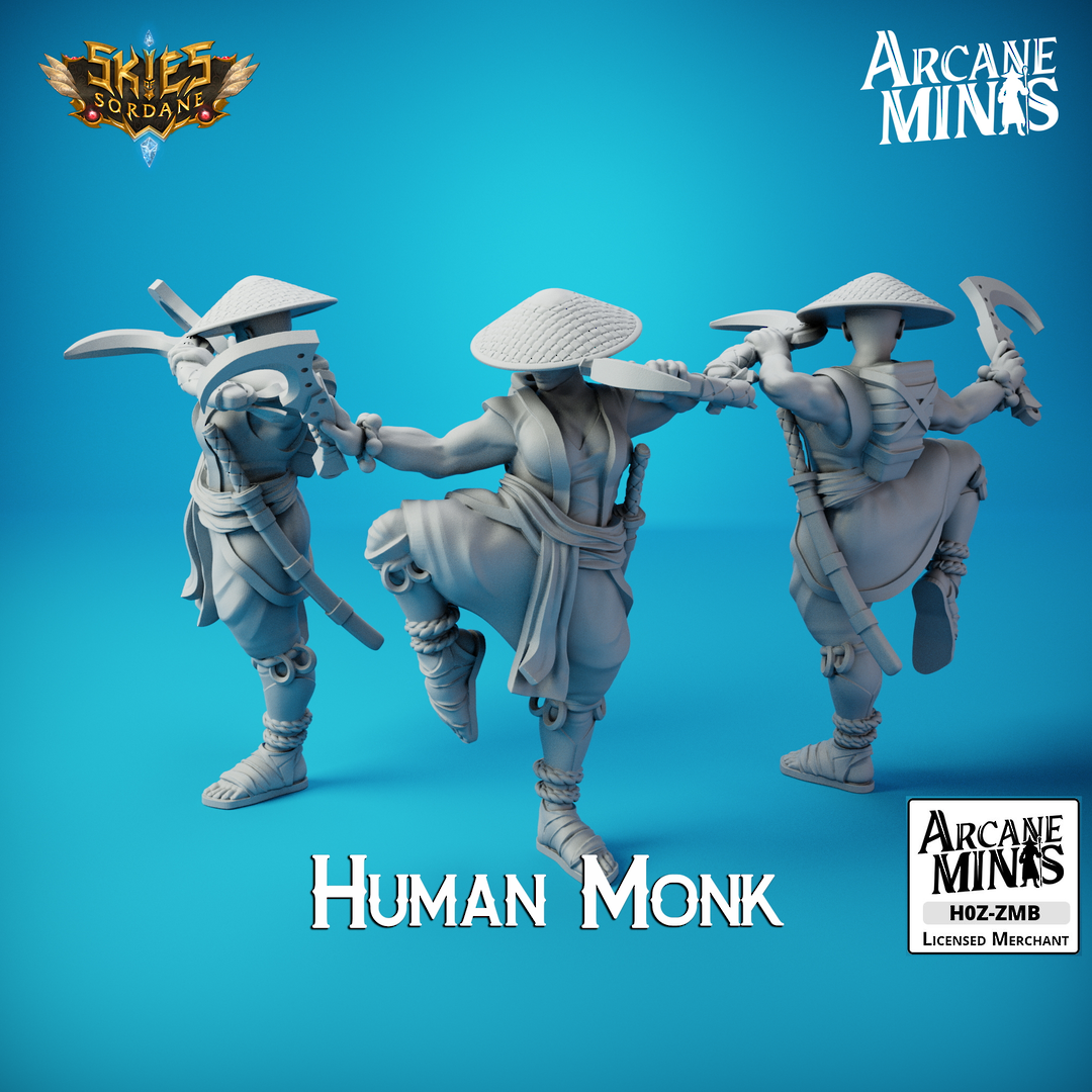Human Monk - Arcane Minis Skies of Sordane image 1