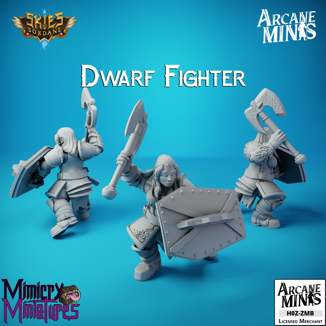 Dwarf Fighter - Arcane Minis Skies of Sordane image 1