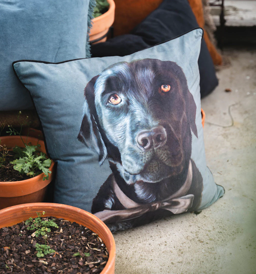 MM Linen - Baghie The Lab Cushion image 0