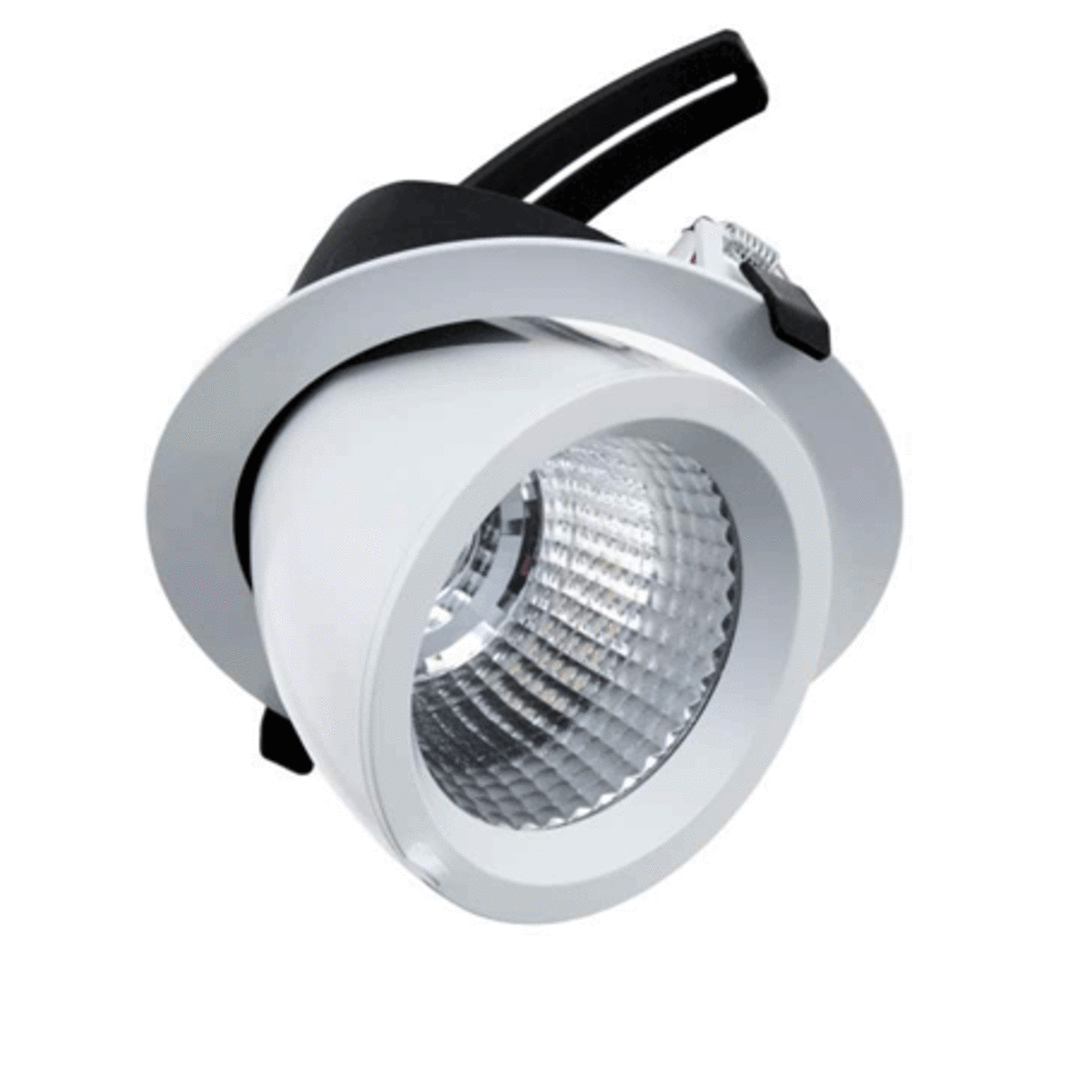 Halcyon R870 38 Watt LED Tilt Downlight image 0