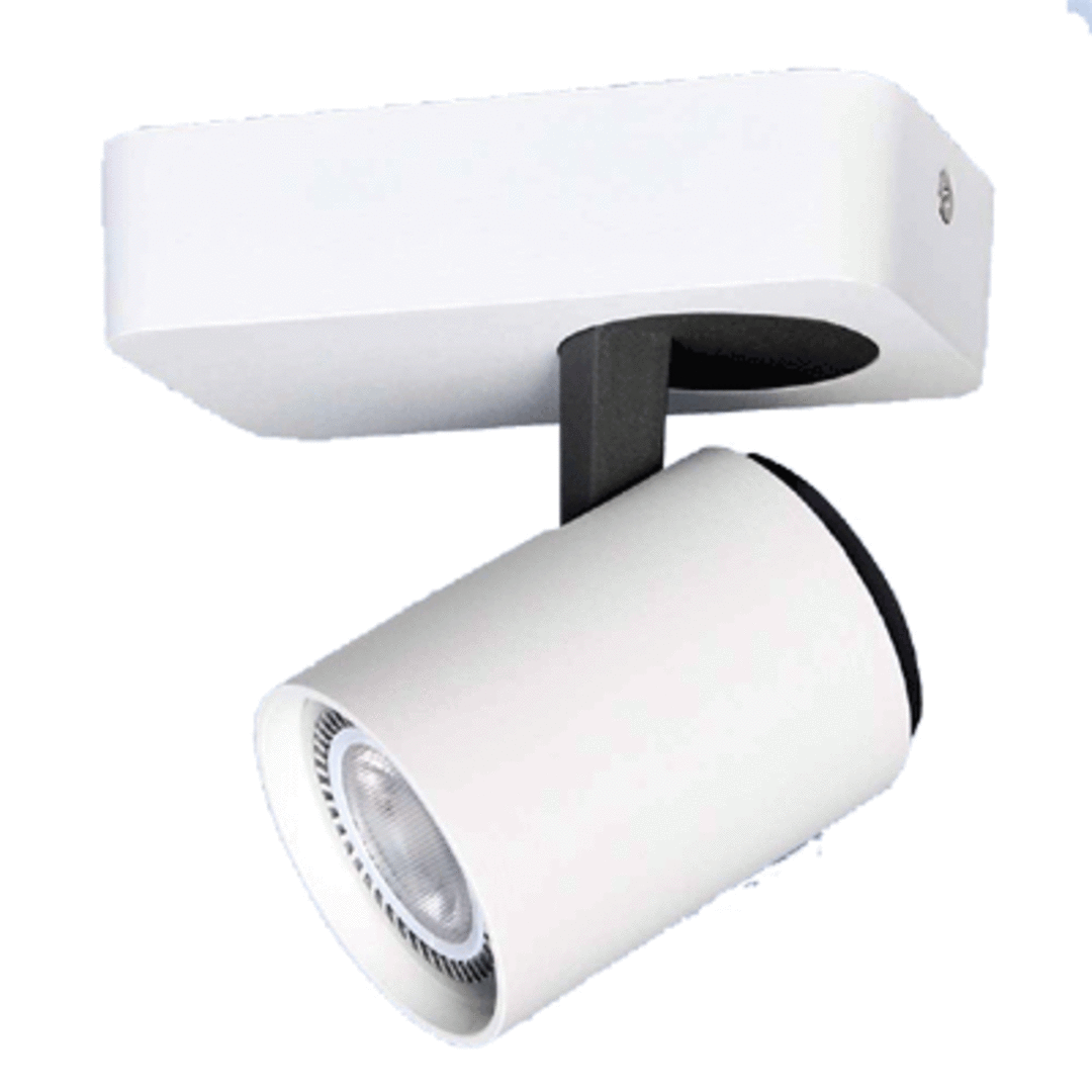 Prolux LED Spotlight Series image 0