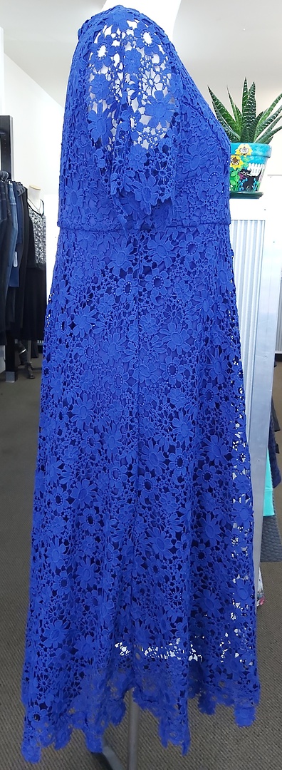 Taking Shape Lace Lined Occasion Dress image 3