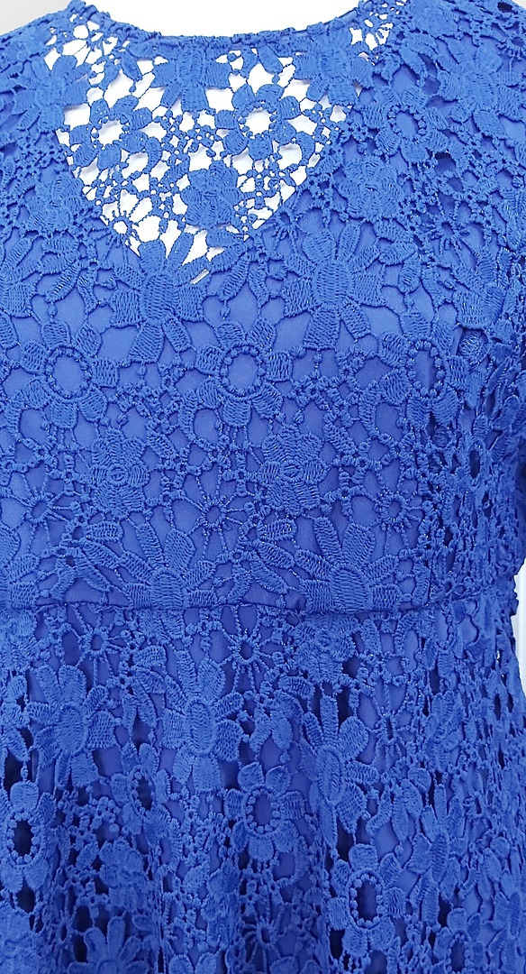 Taking Shape Lace Lined Occasion Dress image 4