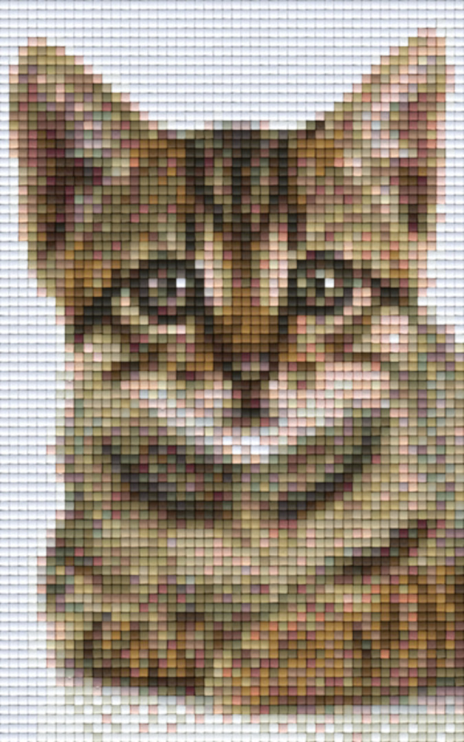 Kitten 1 Two [2] Baseplate PixelHobby Mini-mosaic Art Kit - Pixel Hobby NZ