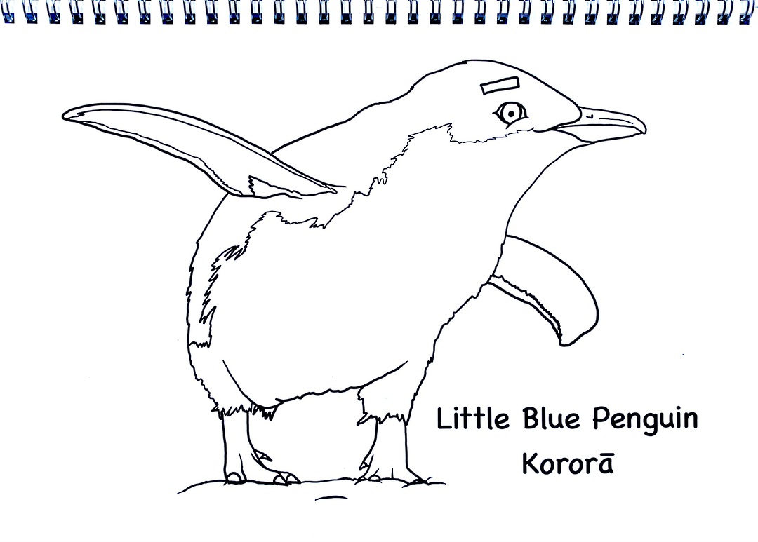 NZ Cartoon Birds Colouring Book image 1
