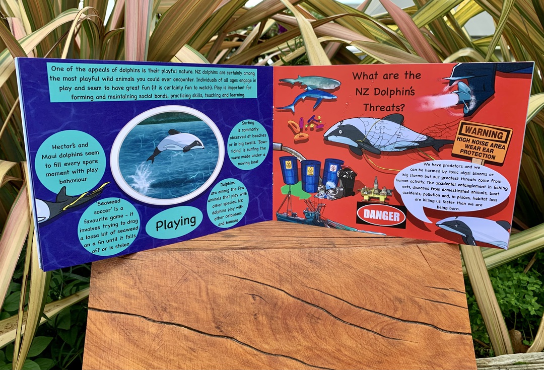 Hector Dolphin Fact and Activity Book image 1