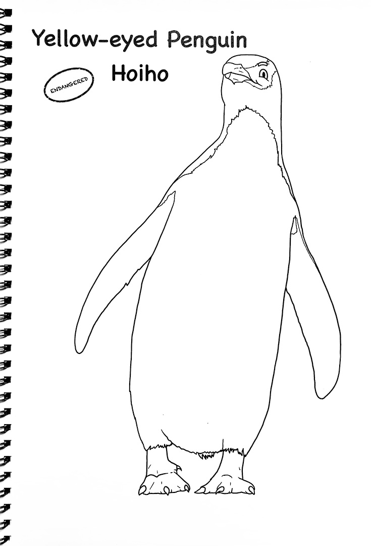NZ Cartoon Birds Colouring Book image 3