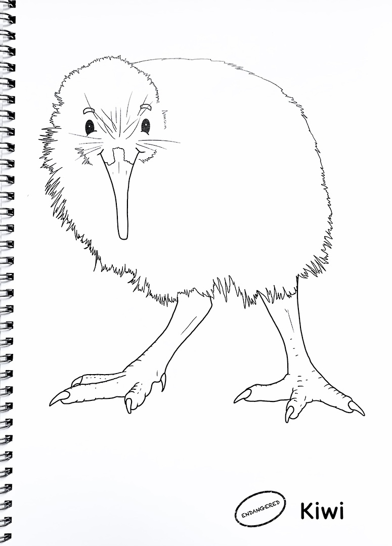 NZ Cartoon Birds Colouring Book image 2