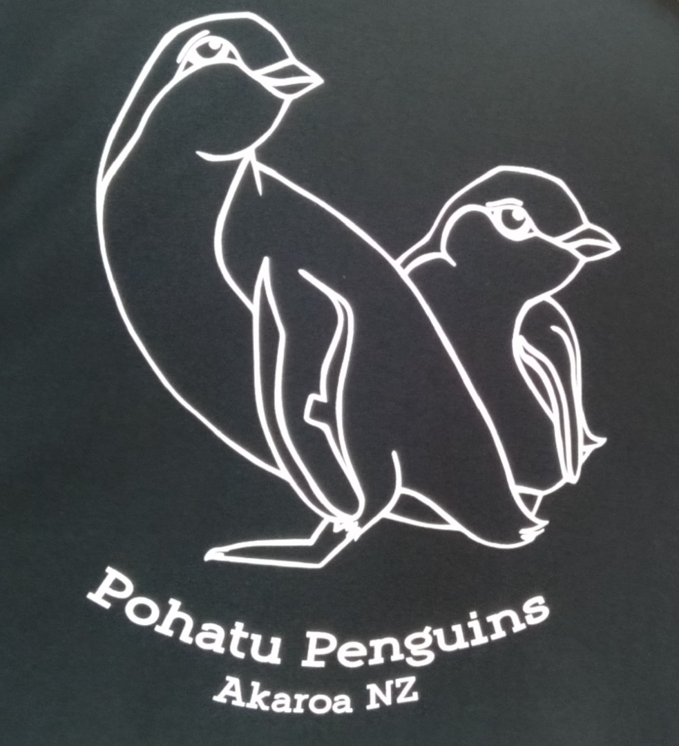 Pohatu penguins tee-shirt image 2