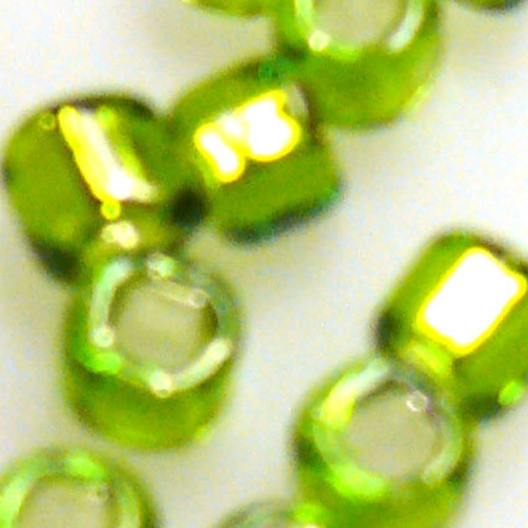 Matsuno size 6 round: 14 - Lime, silver lined (7 grams) image 1