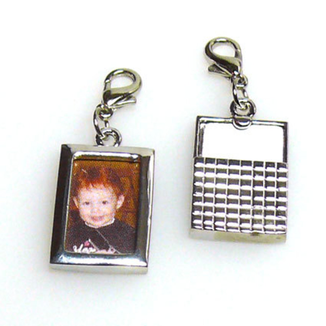 Photo Frame with attached parrot clasp, rectangle image 0